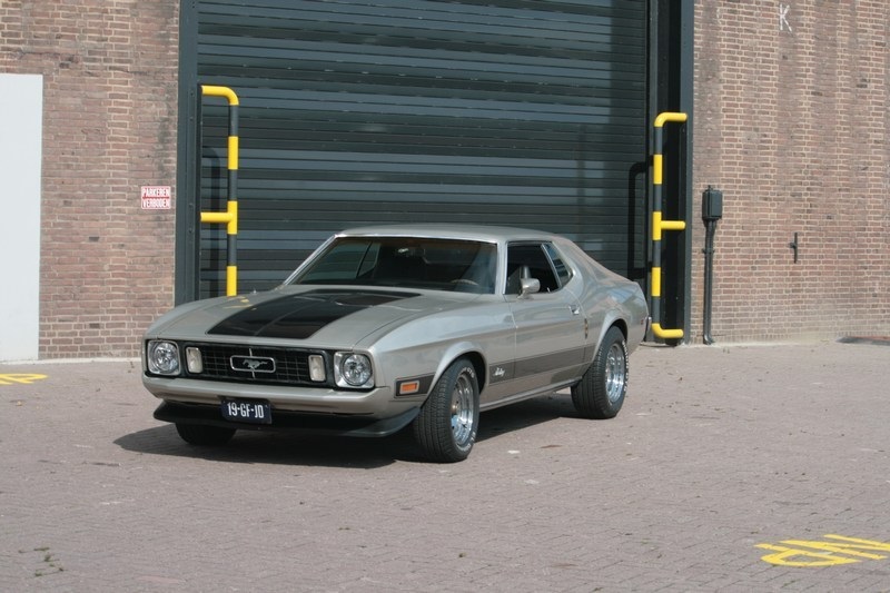 oude mustang voor een oud gebouw